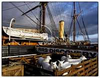 RRS Discovery at Discovery Point