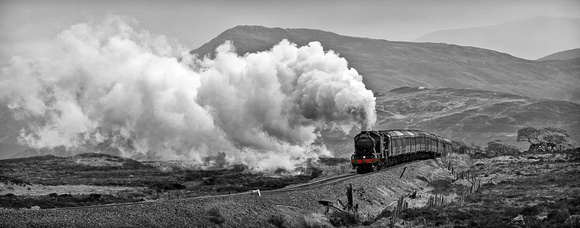 Steam on the Moor